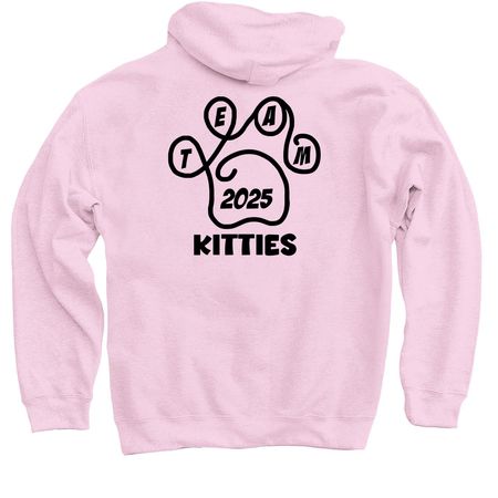 TeamKitties2025, a Light Pink Pullover Hoodie