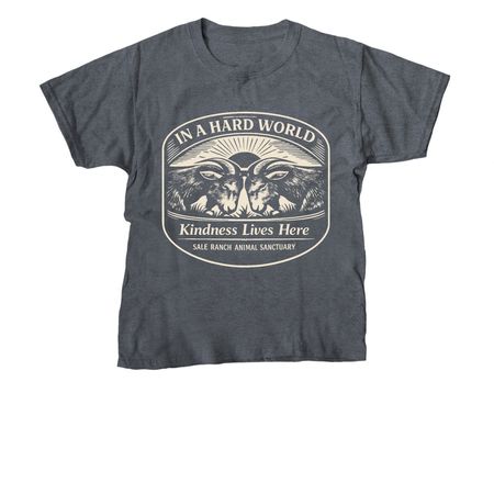 In A Hard World, Kindness Lives Here, a Dark Heather Youth Unisex Tee
