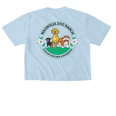 You Look Like The 4th of July!, a Chambray Comfort Colors Boxy Tee (back-view)