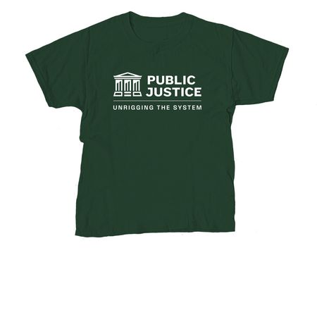 Unrigging the System - One Color, a Forest Green Youth Unisex Tee