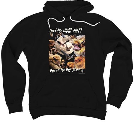 Bats of the Bay State&nbsp;, a Black Premium Pullover Hoodie