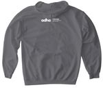 ALPINE 2026, a Charcoal Gildan Softstyle Pullover Hoodie (back-view)