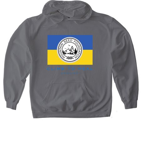 Show Your Support, a Charcoal Gildan Softstyle Pullover Hoodie