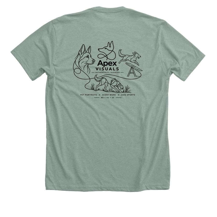 Apex Visuals Merch, a Heather Sage Premium Unisex Tee