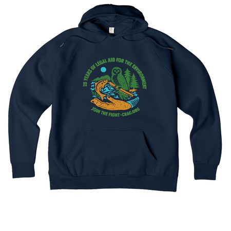 25th Anniversary Hoodie, a Rebel Blue Allmade Organic CVC Pullover Hoodie