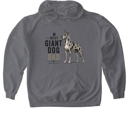 Best Dog Dad!, a Charcoal Gildan Softstyle Pullover Hoodie