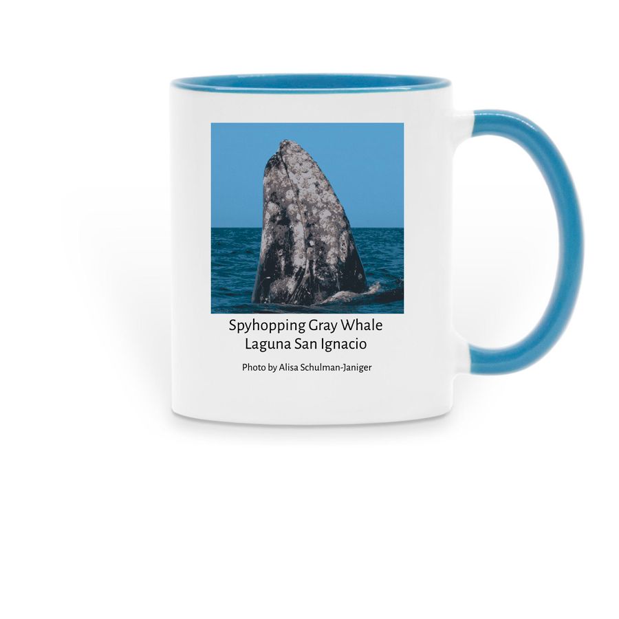 2025 Collectible Mug, a Light Blue Two-Tone Ceramic Mug