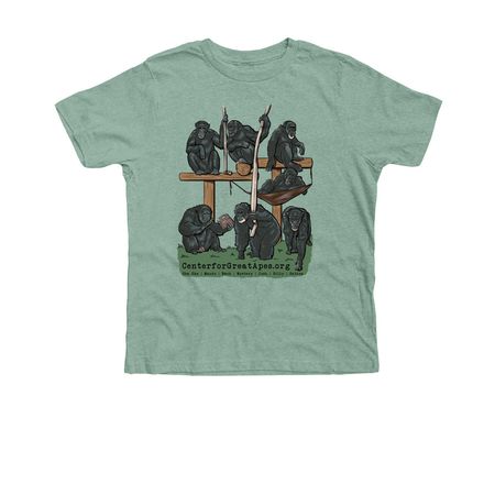 Ewok's Group, a Heather Dusty Blue Premium Youth Tee