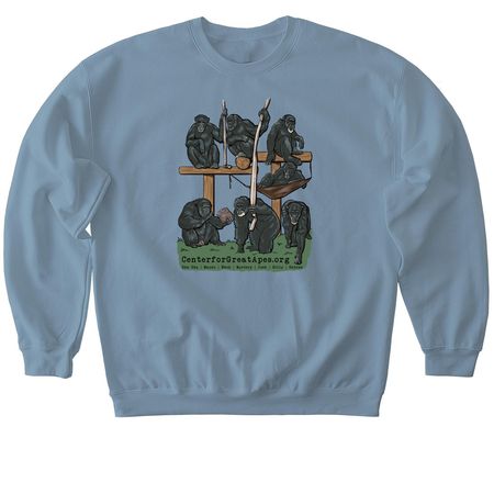 Ewok's Group, a Stone Blue Softstyle Crewneck Sweatshirt