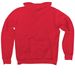 2021 ZJ5K- Dark Colors, a Red Premium Pullover Hoodie (back-view)