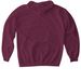 Charting New Paths, a Maroon Gildan Softstyle Pullover Hoodie (back-view)