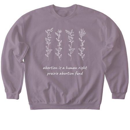 Abortion is a human right, a Paragon Softstyle Crewneck Sweatshirt