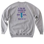 Team Pawsitive Steps&nbsp;, a Sport Grey Softstyle Crewneck Sweatshirt (back-view)