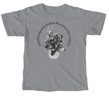 2026 Festival T-Shirts and Hoodies, a Granite Comfort Colors Unisex Tee