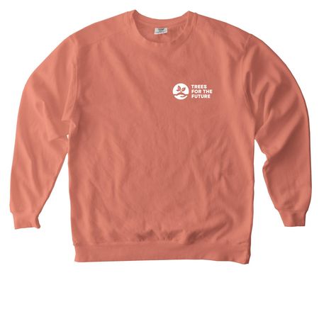 Trees for the Future ? Tops, a Terracotta Comfort Colors Crewneck Sweatshirt