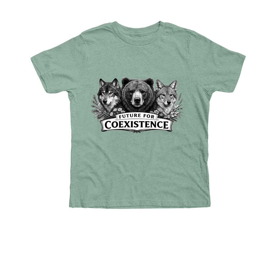 Future for Coexistence, a Heather Dusty Blue Premium Youth Tee