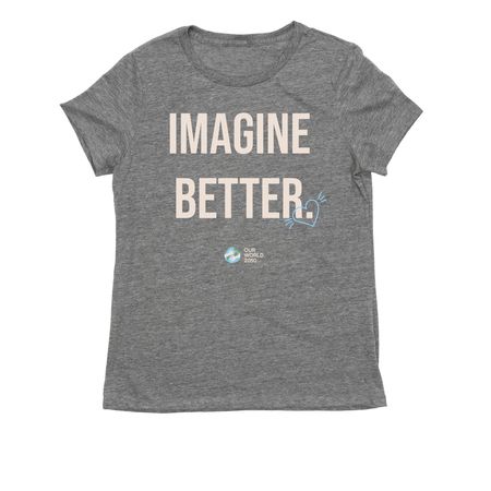 IMAGINE BETTER., a Aluminum Grey Allmade Eco Triblend Women?s Tee