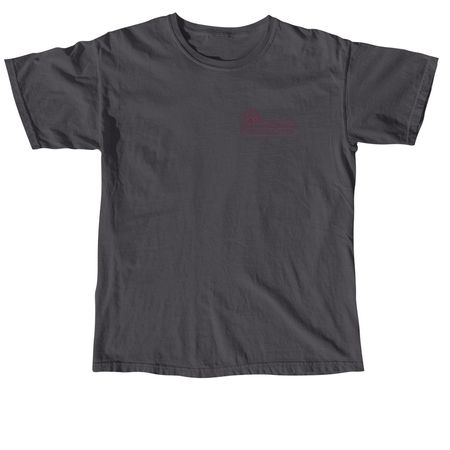 Treat Dealer - Purple Text, a Graphite Comfort Colors Unisex Tee