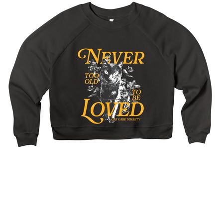 Never Too Old to Be Loved, a Black Women's Premium Cropped Raglan Sweatshirt