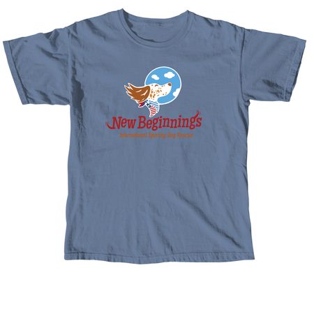 NBI Summer Tees, a Blue Jean Comfort Colors Unisex Tee