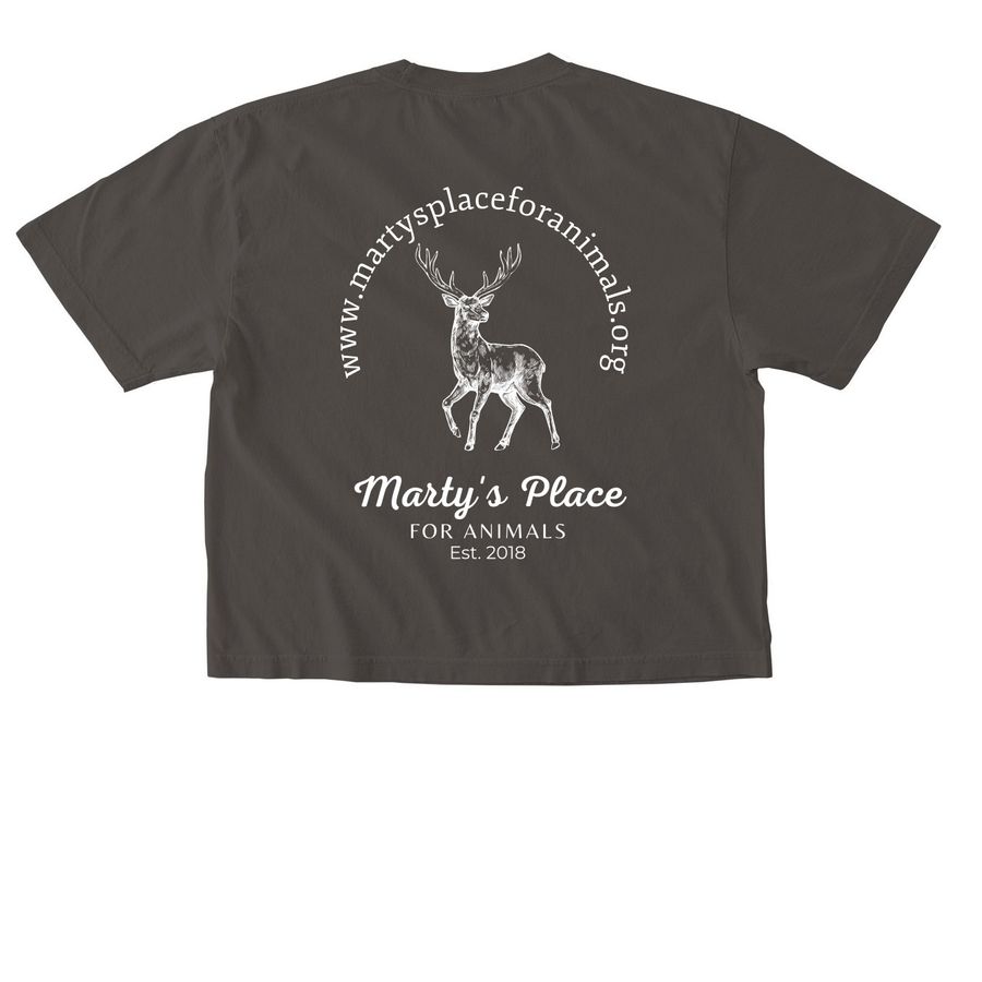 MP 2026, a Pepper Comfort Colors Boxy Tee (back-view)