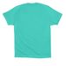 All Play, No Work Fundraiser, a Teal Premium Cotton Tee (back-view)