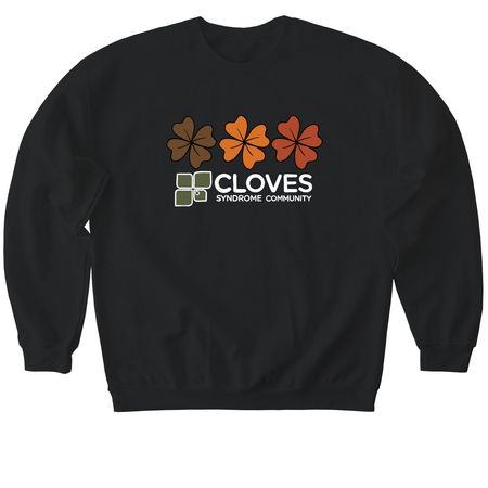 CSC Fall 2026 Collection - Clover Shirts, a Black Softstyle Crewneck Sweatshirt