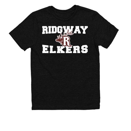 PTO Elker Attire, a Deep Black Allmade Youth Eco Triblend Tee