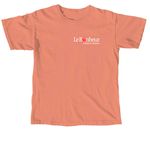 LB Neuro Clinic Pumpkin Run, a Terracotta Comfort Colors Unisex Tee (back-view)