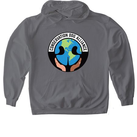 CDA Logo Apparel Design 2, a Charcoal Gildan Softstyle Pullover Hoodie