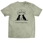 TLD Summer 26', a Fern Comfort Colors Colorblast Tee (back-view)