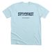 Steadfast in Purpose-light, a Heather Ice Blue Premium Unisex Tee
