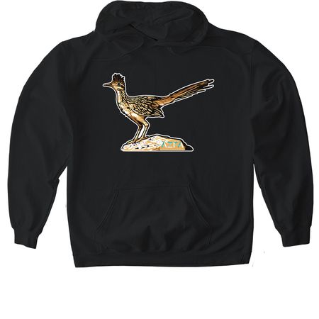 Roadrunner - AZFA, a Black Gildan Softstyle Pullover Hoodie