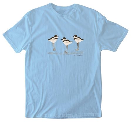 Killdeer&nbsp;, a Light Blue Softstyle Cotton Tee