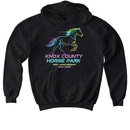 Still Galloping Strong ? 25 Years and Glowing, a Black Softstyle Youth Pullover Hoodie