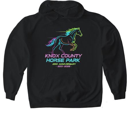 Still Galloping Strong ? 25 Years and Glowing, a Black Gildan Softstyle Pullover Hoodie
