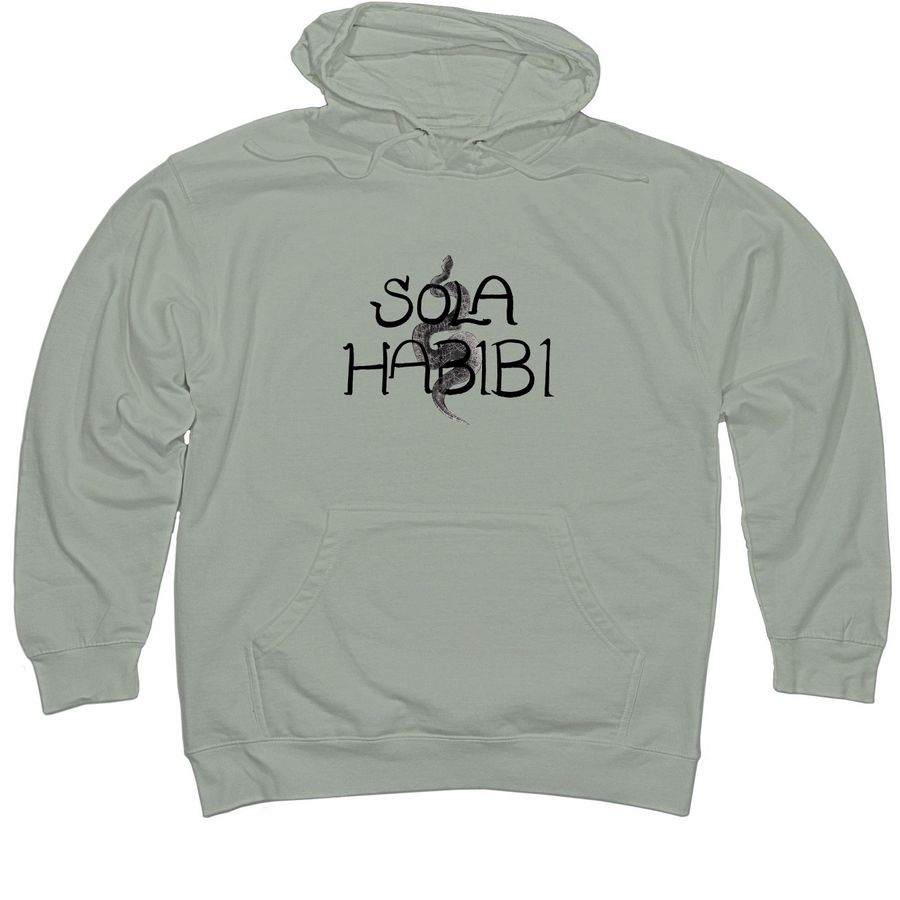 Protest Hoodie Supporting Immigrants, a Dusty Sage Midweight Pullover Hoodie