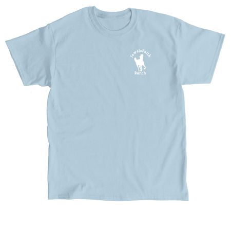 EAP Era, a Light Blue Classic Unisex Tee