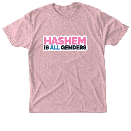 Hashem Is All Genders, a Desert Pink Triblend Unisex Tee