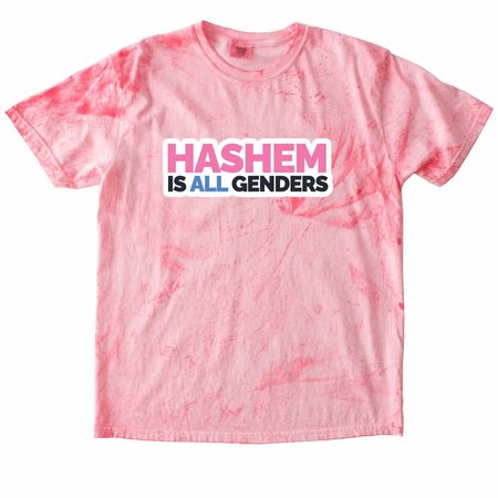 Hashem Is All Genders, a Hibiscus Comfort Colors Colorblast Tee