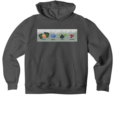 Aluk Apparel, a Asphalt Premium Heavyweight Pullover Hoodie