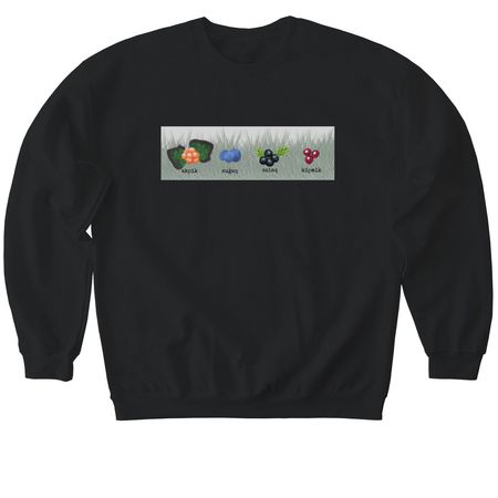 Aluk Apparel, a Black Softstyle Crewneck Sweatshirt