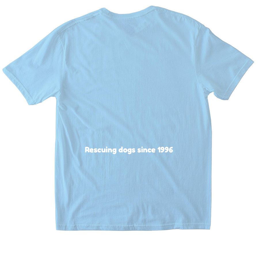 1996 Collection, a Light Blue Softstyle Cotton Tee (back-view)