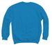 TCMU Hoodie or Sweatshirt with Locations, a Sapphire Crewneck Sweatshirt (back-view)