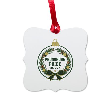 Home & Kitchen - PVE Pride Ornament, a White Aluminum Square Ornament