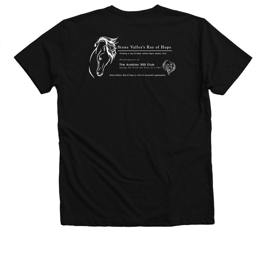 SVRH Fall 2025, a Solid Black Blend Premium V-Neck Tee (back-view)