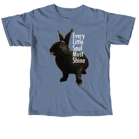 every little soul must shine, a Blue Jean Comfort Colors Unisex Tee