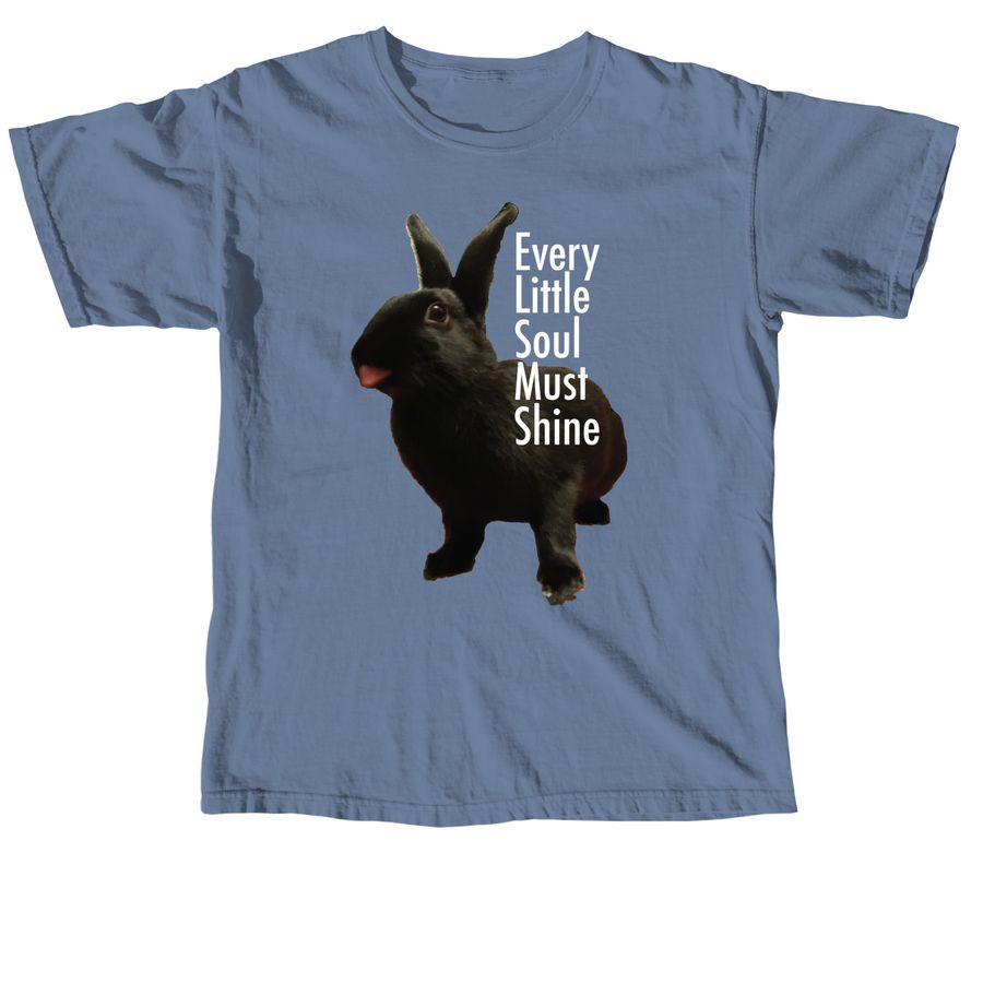 every little soul must shine, a Blue Jean Comfort Colors Unisex Tee