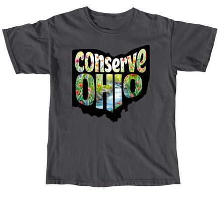 The Original&nbsp;, a Graphite Comfort Colors Unisex Tee