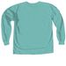 The Arc Long Sleeved Tee, a Chalky Mint Comfort Colors Long Sleeve Tee (back-view)